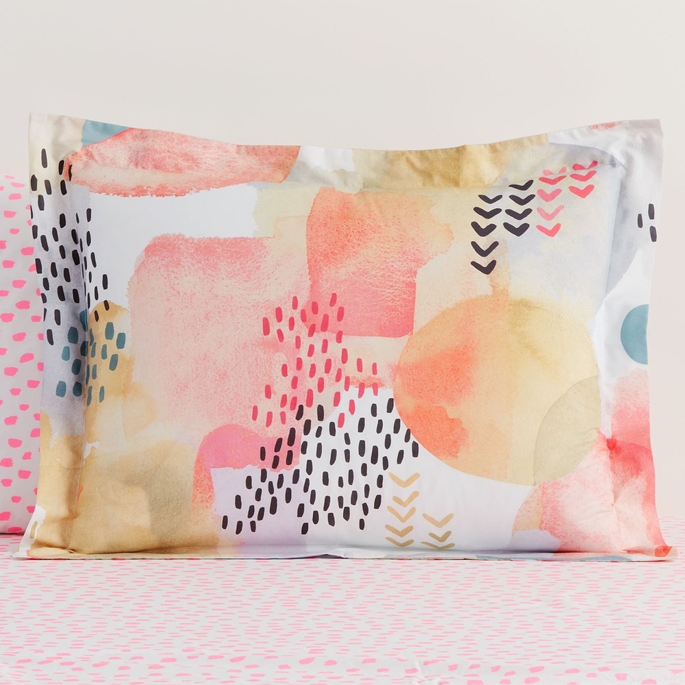ISO Pottery Barn Kids Organic Lexi shams